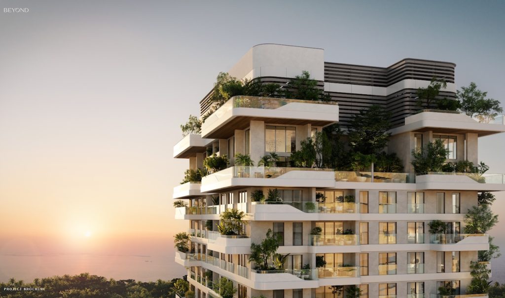 Beyond Development Investment Opportunities